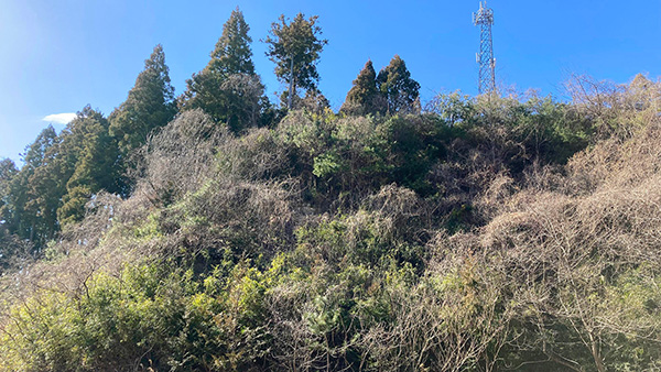 株式会社アスト不動産 売地 宮城県柴田郡柴田町槻木丸山